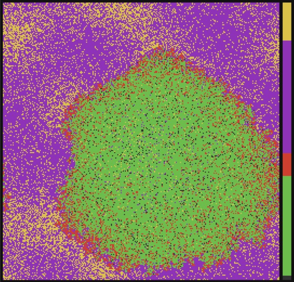 viruscope – screenshot 2