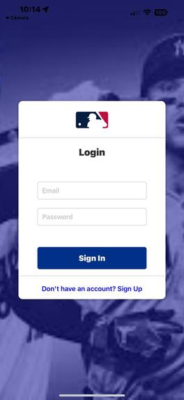 TBFL (True Baseball Fans League) – screenshot 4
