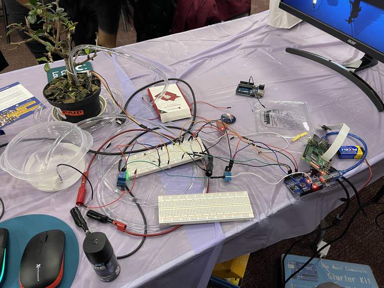 Mama's Garden – screenshot 1