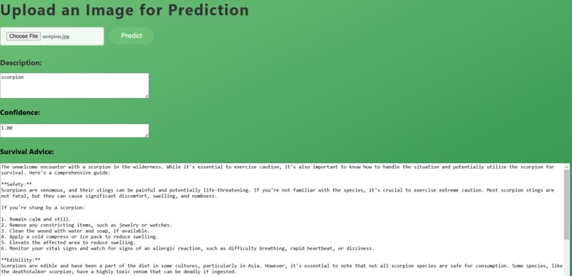 Image Detection and AI Suggestion Tool – screenshot 2