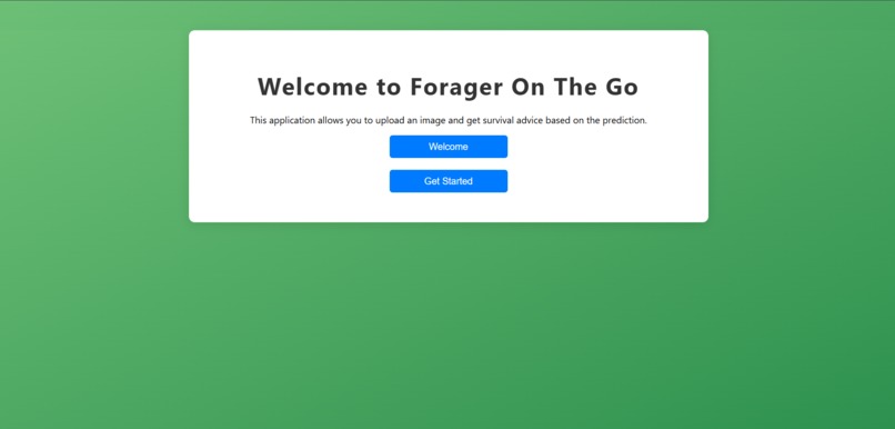 Image Detection and AI Suggestion Tool – screenshot 3