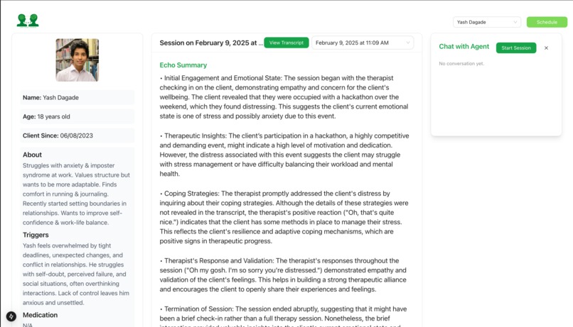 Echo: AI for Therapists – screenshot 4