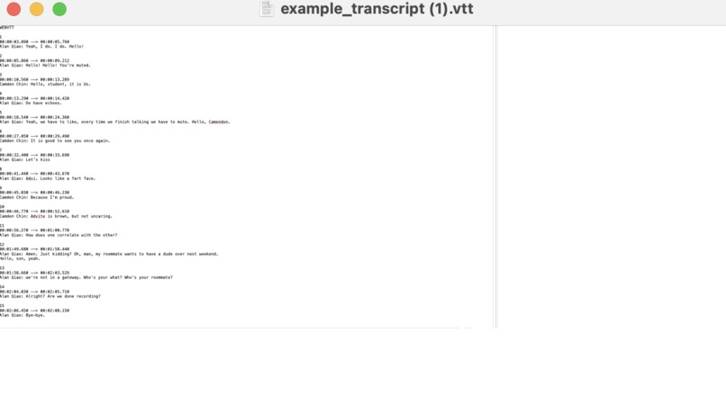 ZoomBuddy – screenshot 3