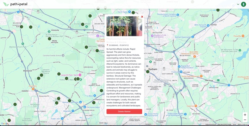 Path and Petal – screenshot 1