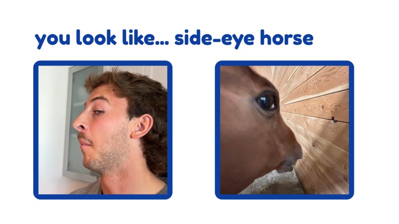 meme-o-tron – screenshot 2