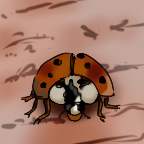 UMass Pest – screenshot 1