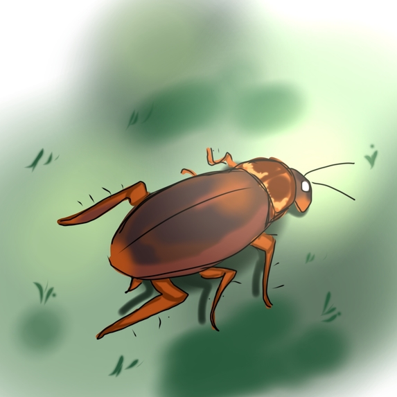 UMass Pest – screenshot 2