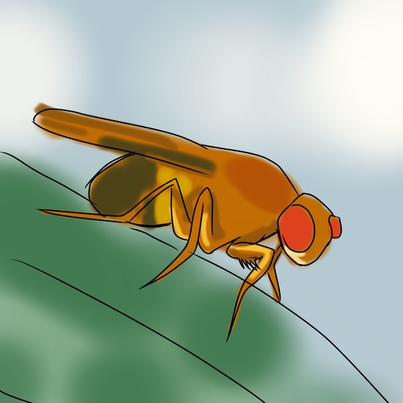 UMass Pest – screenshot 3
