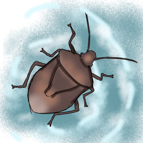 UMass Pest – screenshot 7