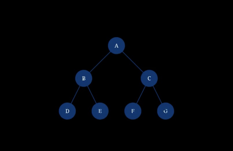 Anim-Education – screenshot 1