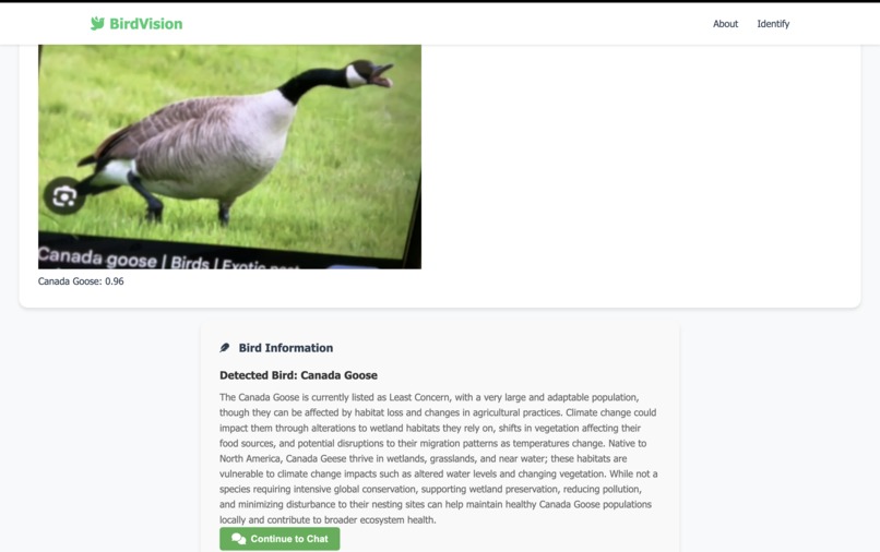 Bird Vision – screenshot 2