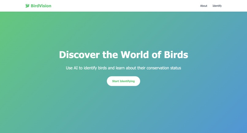 Bird Vision – screenshot 1