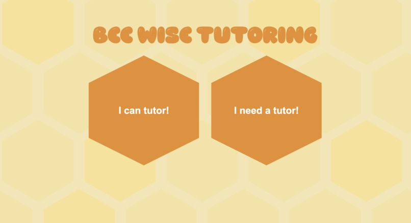 BeeWise Tutoring – screenshot 4