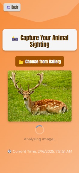 Deervolution – screenshot 4
