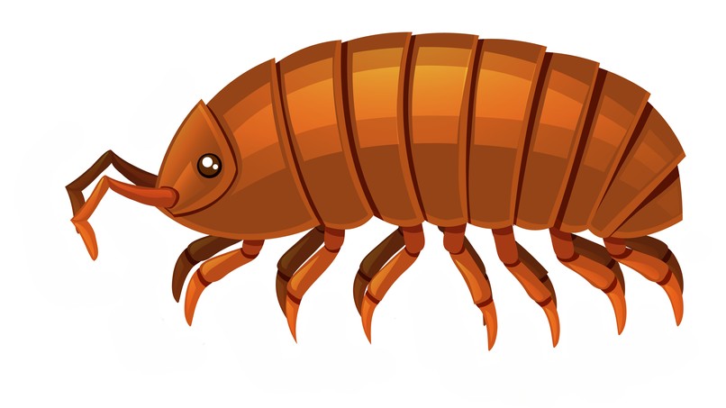 Bee Kind – screenshot 6