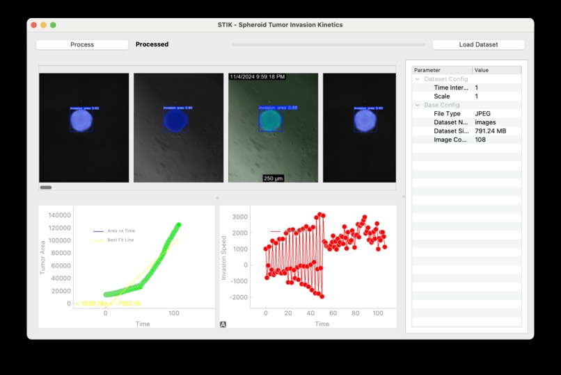 Spheroid Tumor Invasion Kinetics (STIK) GUI – screenshot 2
