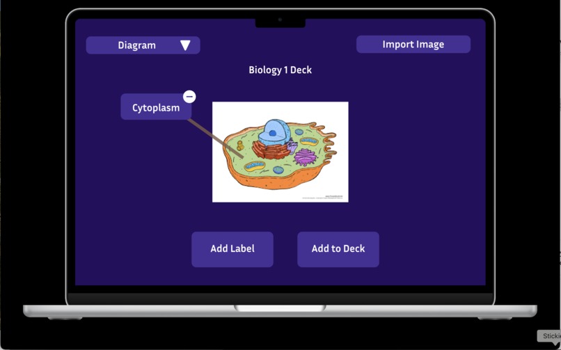 Quizzlr – screenshot 6
