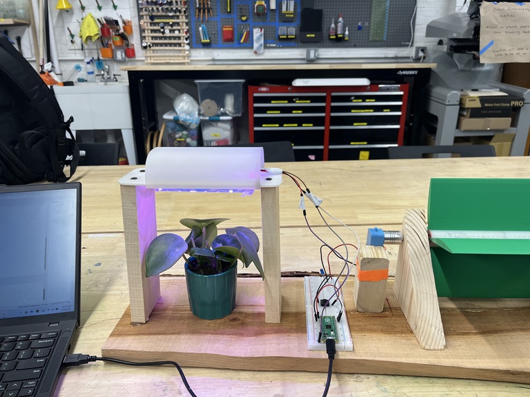 Shady Business – screenshot 1