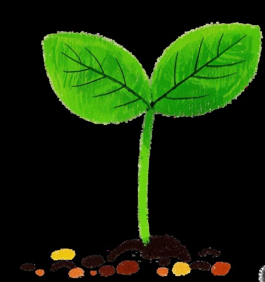 Blooming Within – screenshot 2