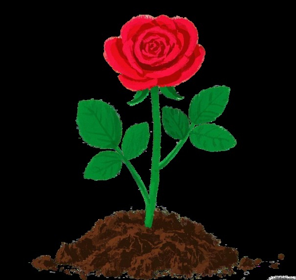 Blooming Within – screenshot 3