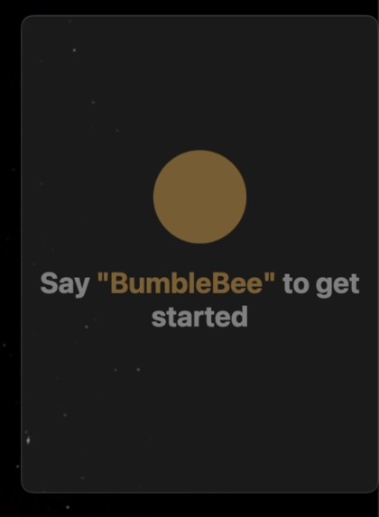 BumbleBee – screenshot 1