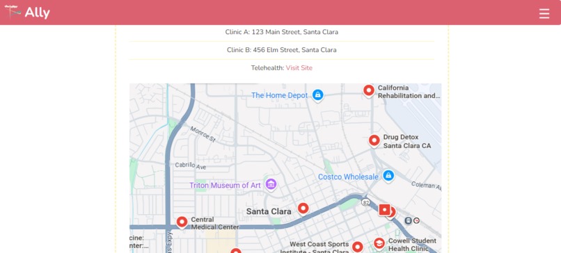 Ally – screenshot 9