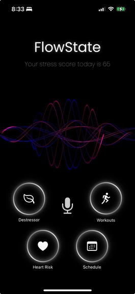 Flow~State – screenshot 1