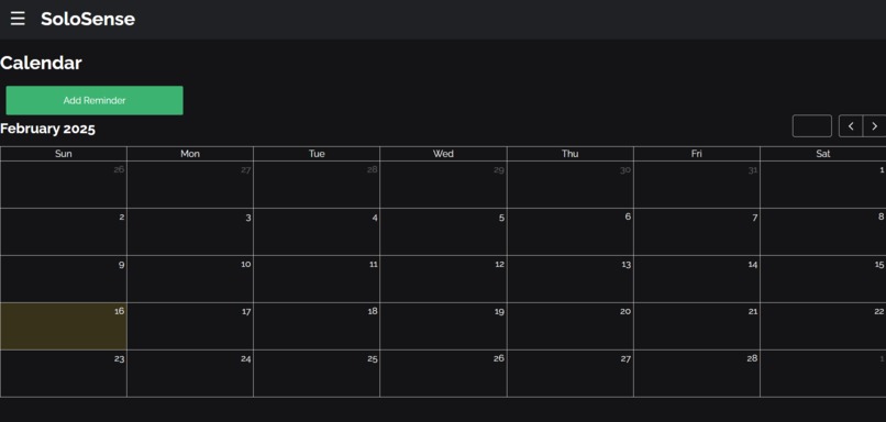 SoloSense – screenshot 2