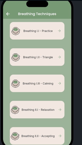 WabiSabi – screenshot 9