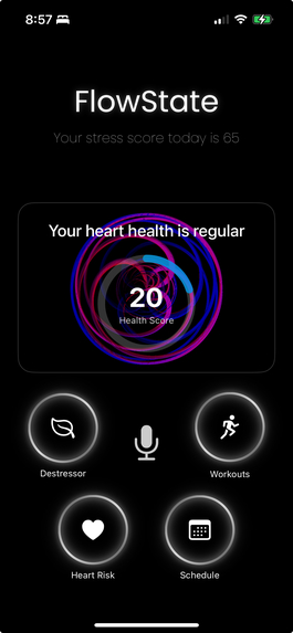 Flow~State – screenshot 2