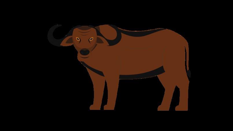 zemlia – screenshot 5