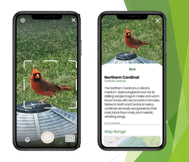 Catchy! – screenshot 1