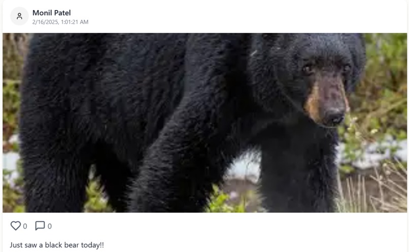 WildTrails – screenshot 4