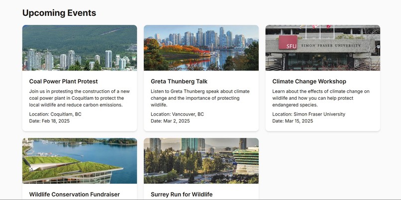 WildBC – screenshot 9