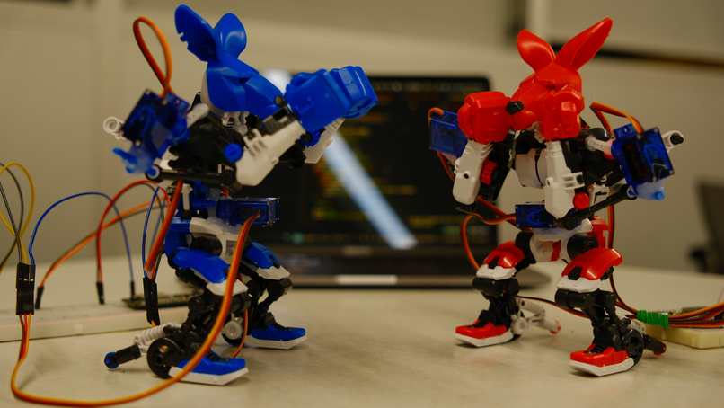 YOLO Brawlers – screenshot 1