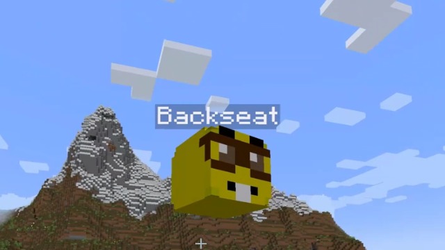 BackSeat (Team: Big Brain Winners) – screenshot 3