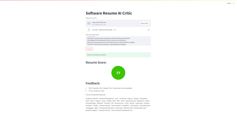 Software AI Resume Critic  – screenshot 1
