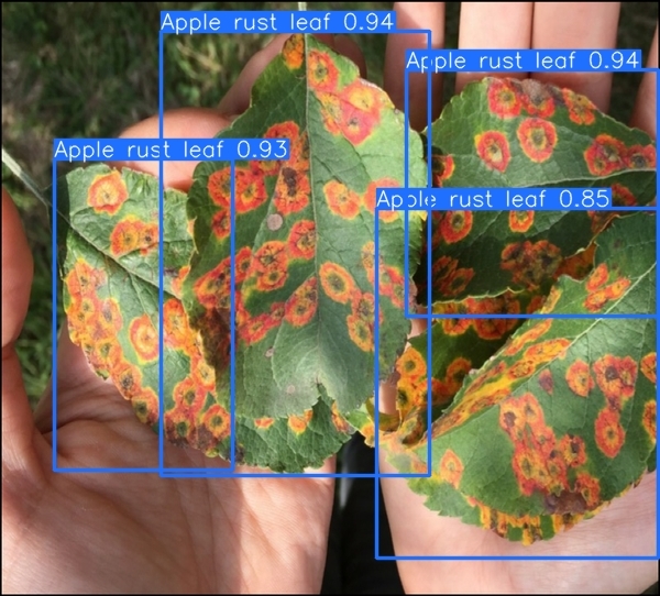 Crop Disease and Tomato Freshness Diagnosis Application – screenshot 1