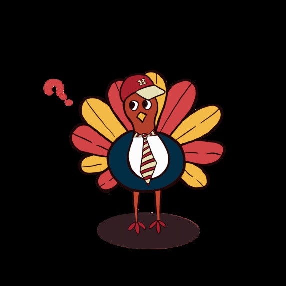 TurkEye – screenshot 2