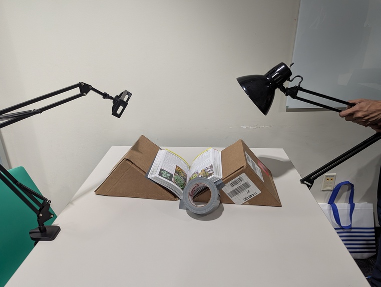 Edible Plants of the Southeast – screenshot 1