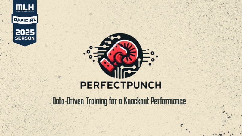PerfectPunch – screenshot 1