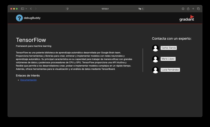Sistema de consulta de competencias técnicas personales – screenshot 4