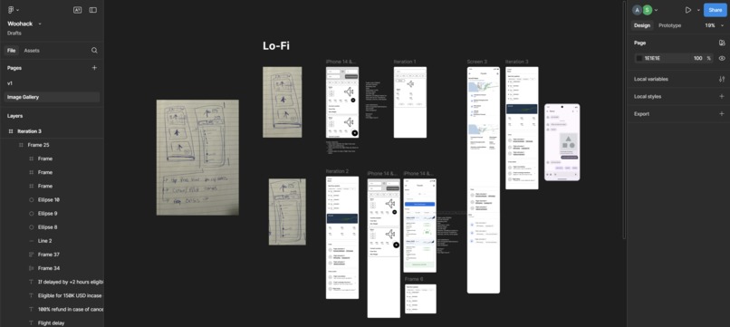 FlySafe – screenshot 2