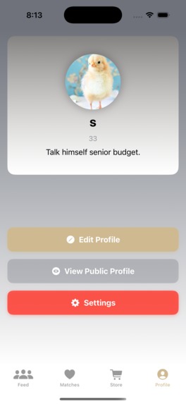 BoilerMatch – screenshot 12