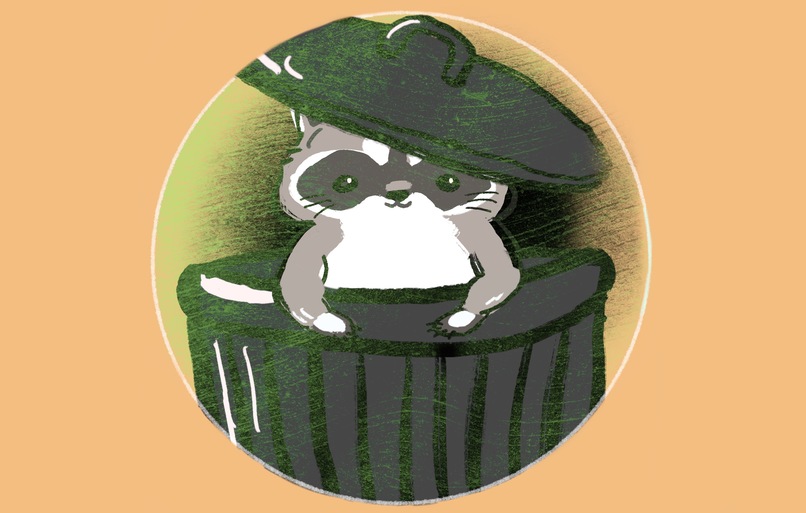 Raccoon Raider – screenshot 1