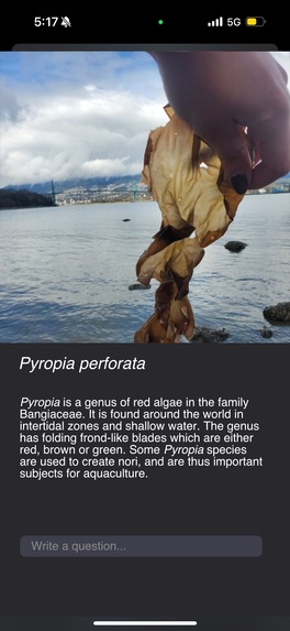 AlgaeFinder AI – screenshot 2