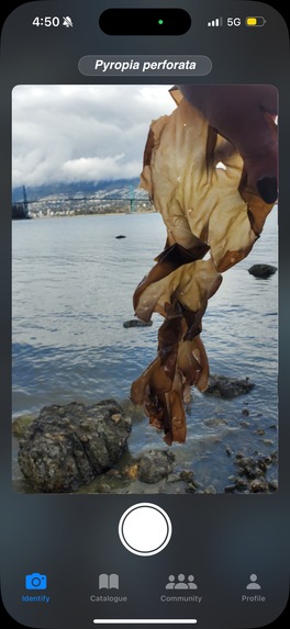 AlgaeFinder AI – screenshot 3