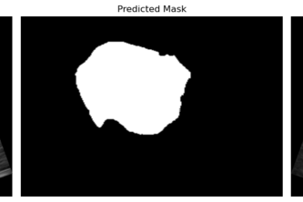 Breast Cancer Tumor Identification and Evaluation