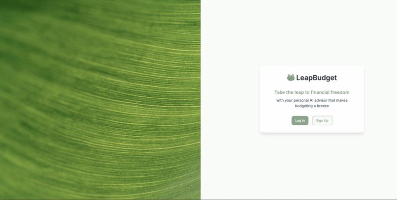 LeapBudget – screenshot 1