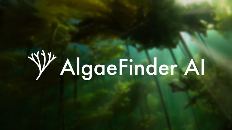 AlgaeFinder AI – screenshot 1